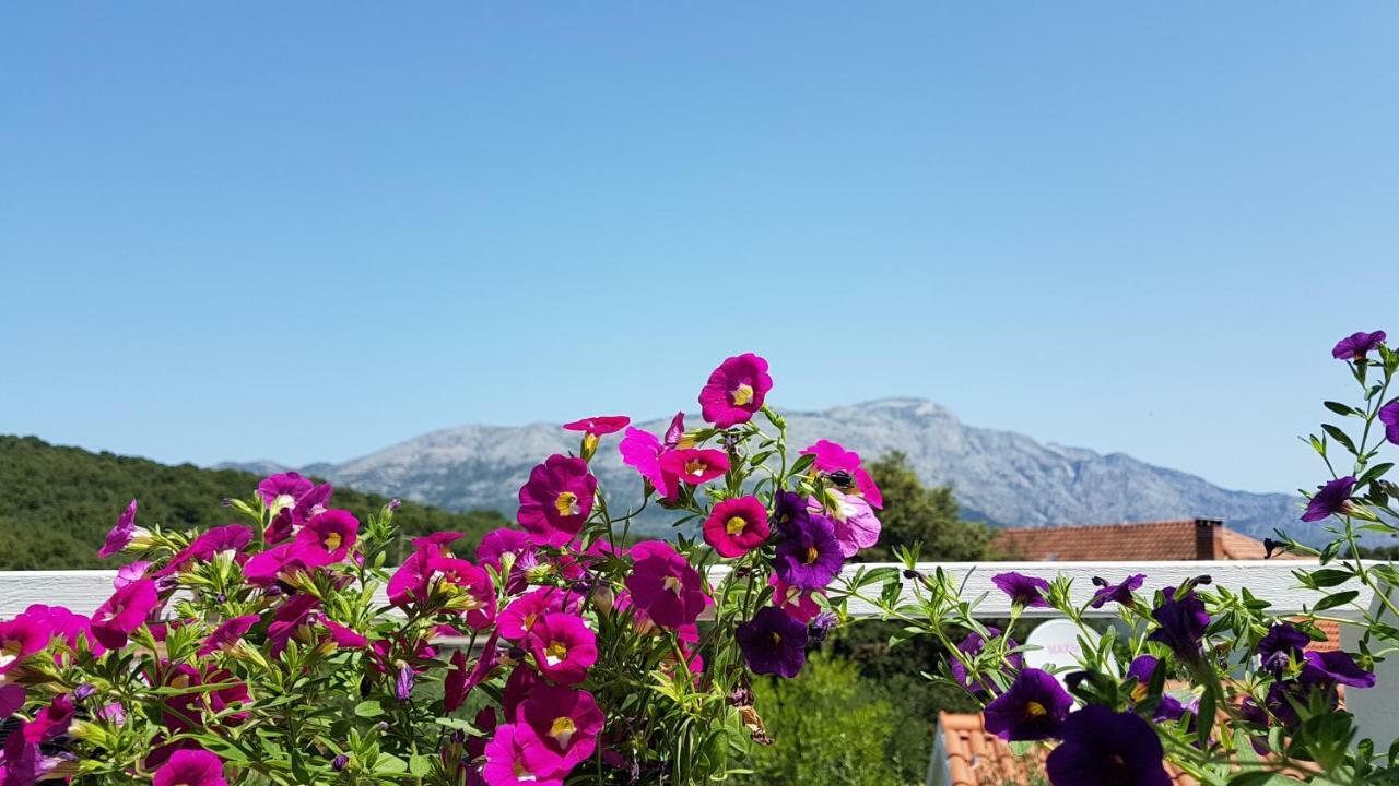 Apartman Lucija كورتْشولا المظهر الخارجي الصورة